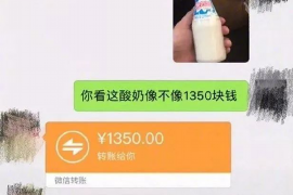 鼎城专业要账公司